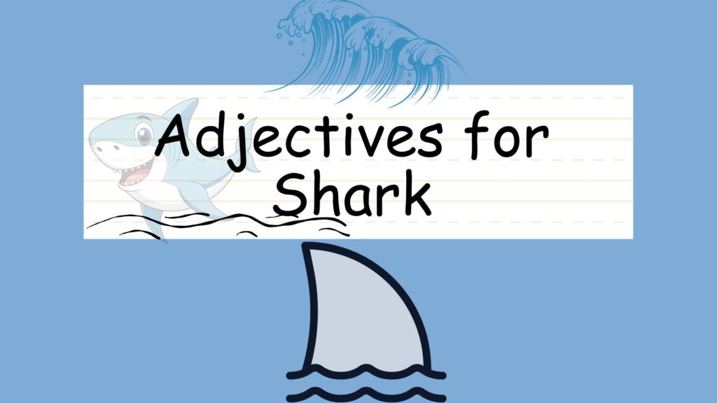 Adjectives for Shark