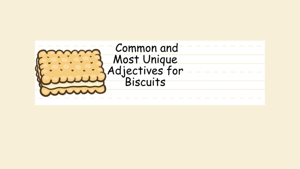 Common and Most Unique Adjectives for Biscuits