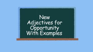 New Adjectives for Opportunity With Examples