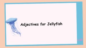 Adjectives for Jellyfish